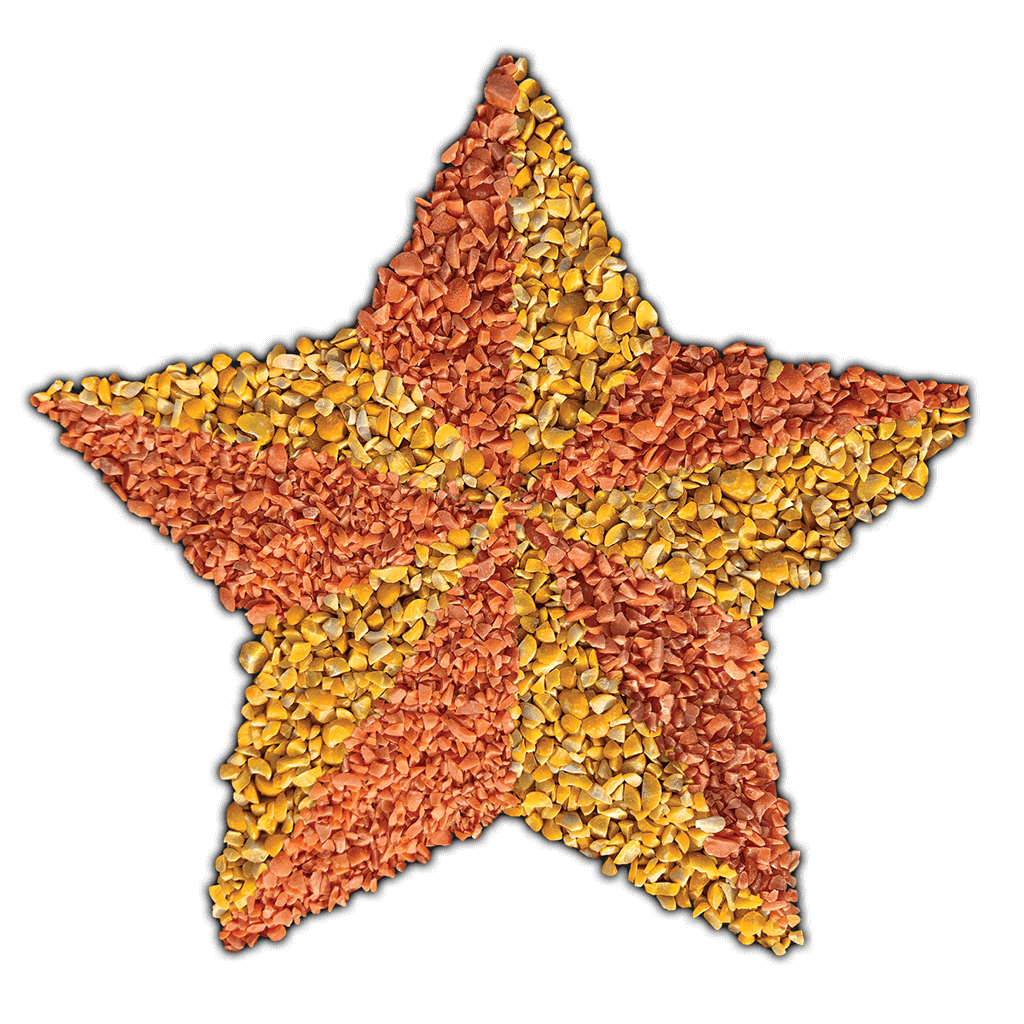 Gluten free pulse ingredients in star shape