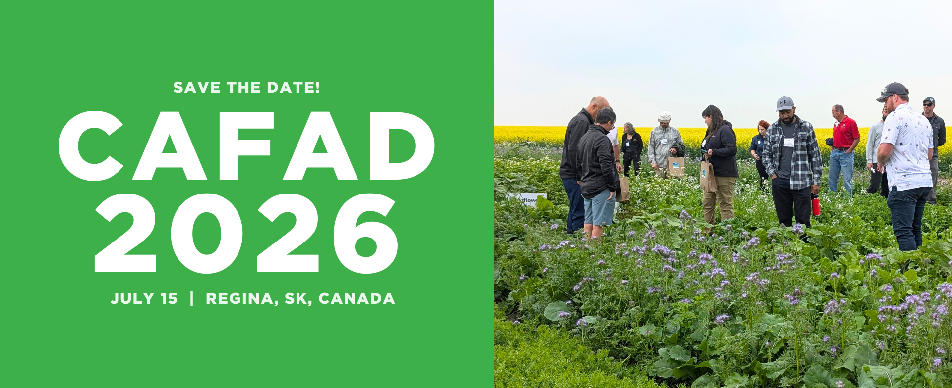 People in a field observing crops.