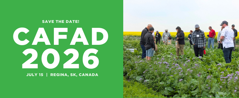 People in a field looking at crops.