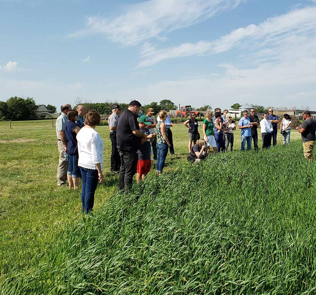 crop trial for sustainable agriculture