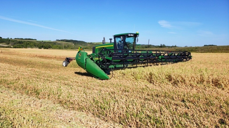 green pea ingredient harvest