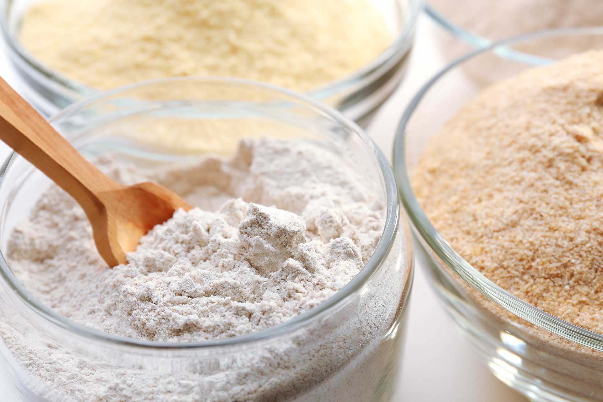 gluten free pulse Flours