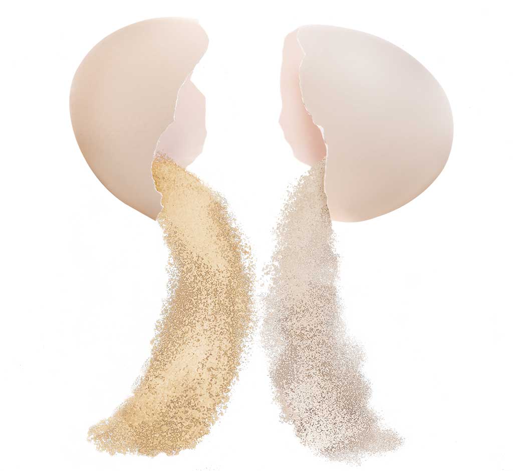 Pulse Egg Replacer and Pulse Visco Enhancer - Alter EggOh