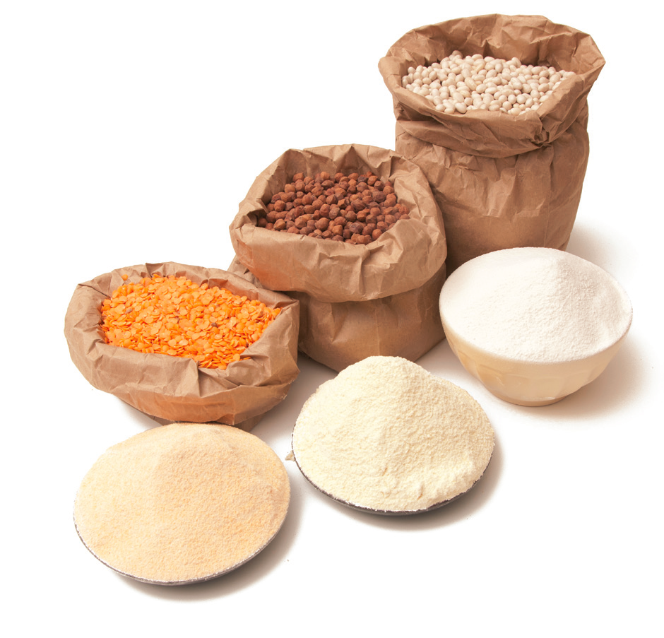 gluten free pulse flour supplier