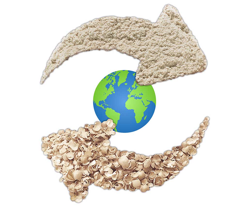 Dietary fiber ingredients globe graph