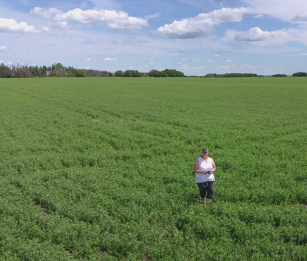 Teri in Pea Field promoting sustainable agriculture