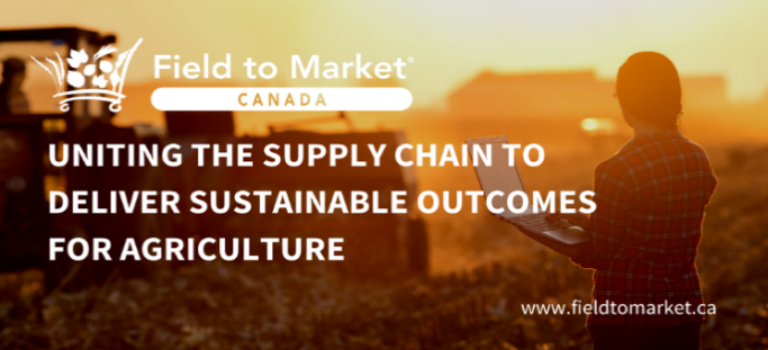 field to market sustainable agriculture